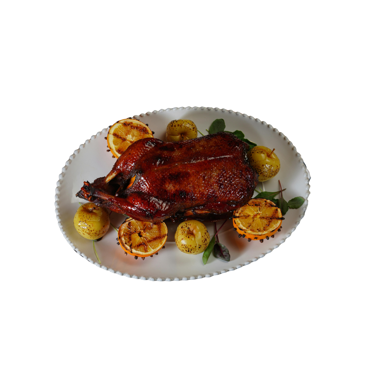 Gressingham Duck