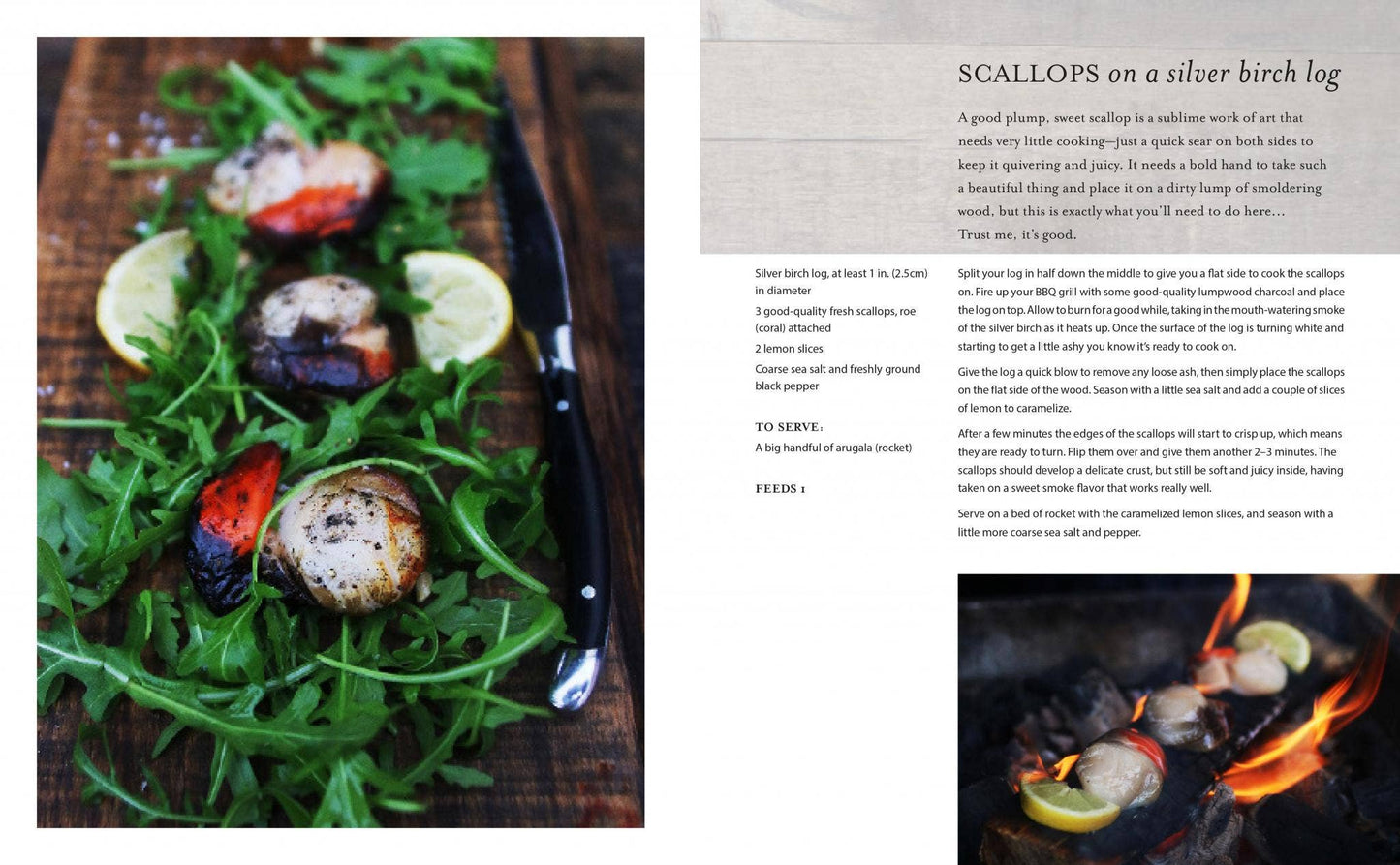 Food and Fire Cook Book