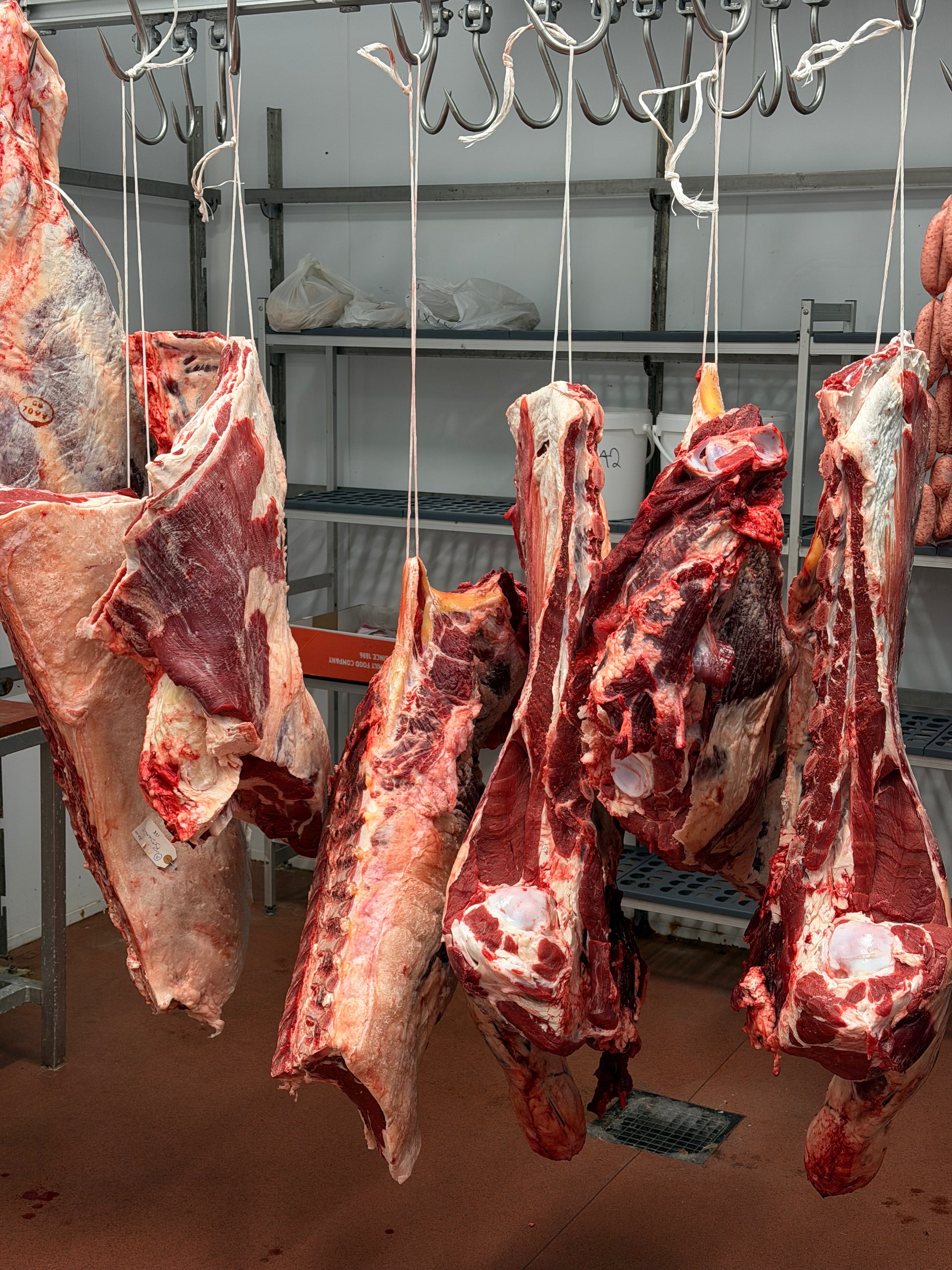 PGI Welsh Aberdeen Angus Beef Box – Bodnant Welsh Food