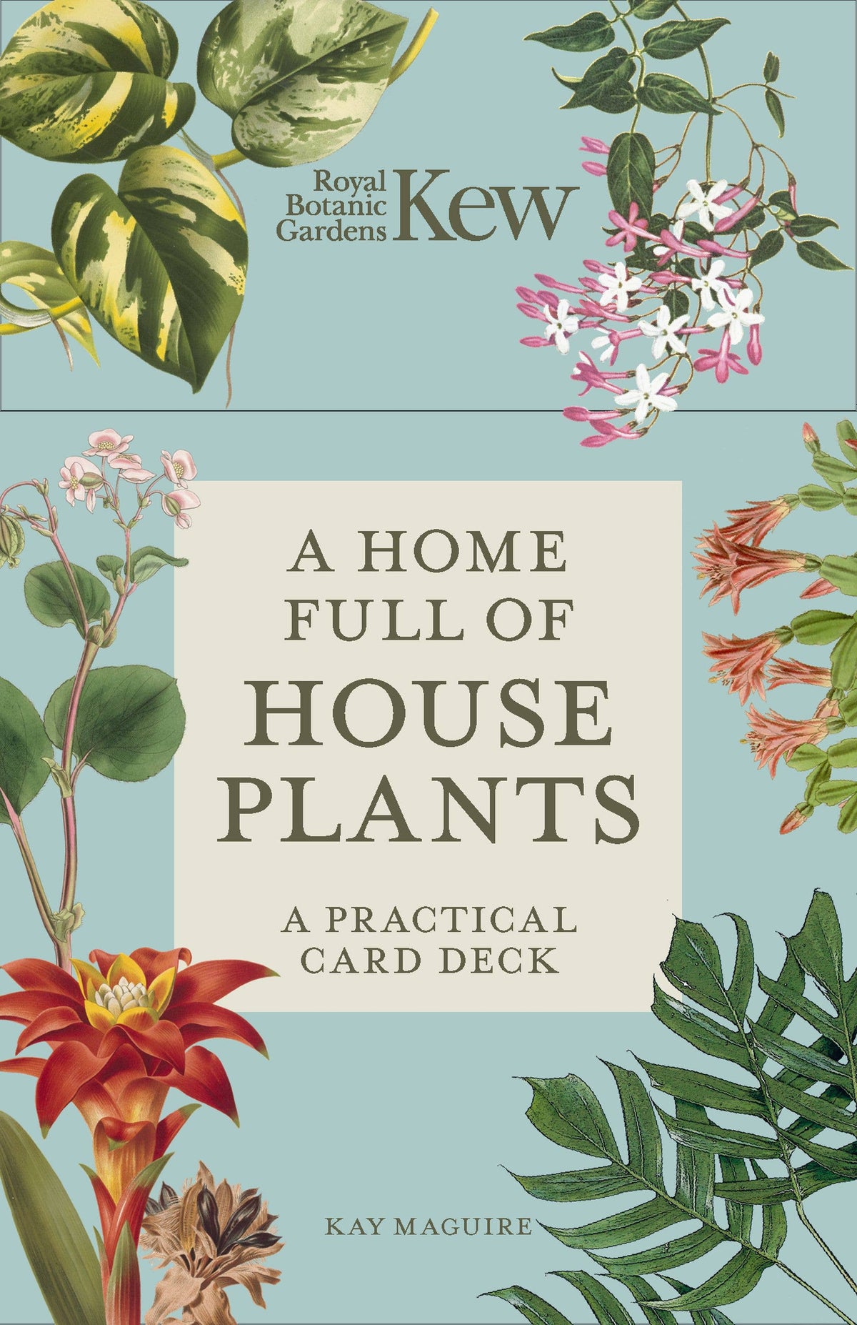 A Home Full of House Plants