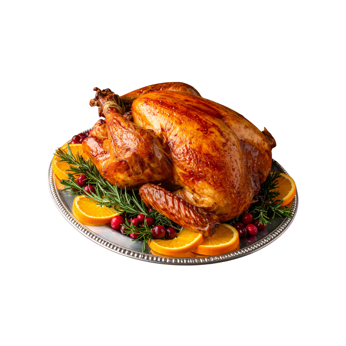 Welsh White Turkey